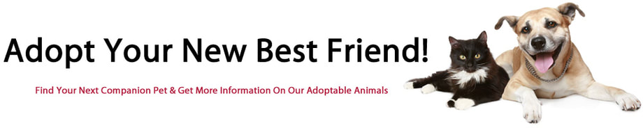 River Valley Animal Rescue | Pet Adoption Momence, IL - Home
