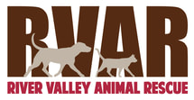 River Valley Animal Rescue | Pet Adoption Momence, IL
